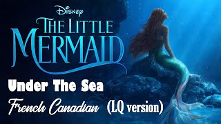 Musik-Video-Miniaturansicht zu Sous l'océan [Under the Sea] (Canadian French) Songtext von The Little Mermaid (OST) [2023]