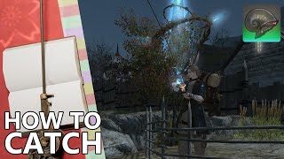 🌱How to Catch Armorer in FFXIV