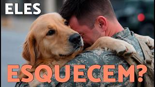 Quanto tempo leva para um cachorro esquecer seu dono? 🤔 (Cães e memória emocional)