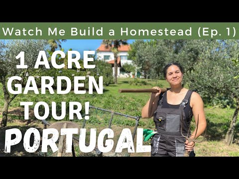 I Retired Early & Bought Land In Portugal - Now Watch Me Build a Homestead