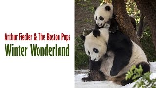 Arthur Fiedler & The Boston Pops  "Winter Wonderland"
