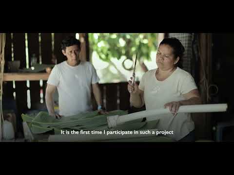 CHONTA REFORESTATION 2025