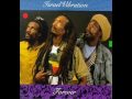 ISRAEL VIBRATION-AMBUSH