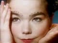 björk - venus as a boy