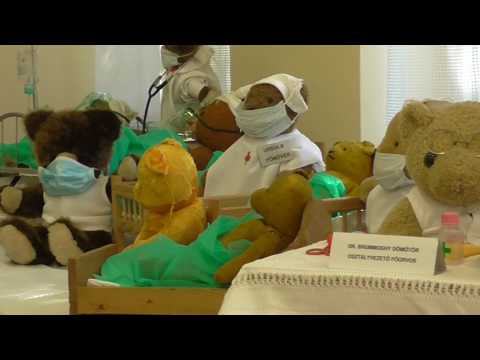 Párkányi Városi Múzeum - 2017.05.24 - Mackóvilág