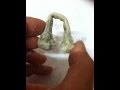 How to Bend a Chicken Bone - A Rubbery Chicken Bone - Simple Science Experiment