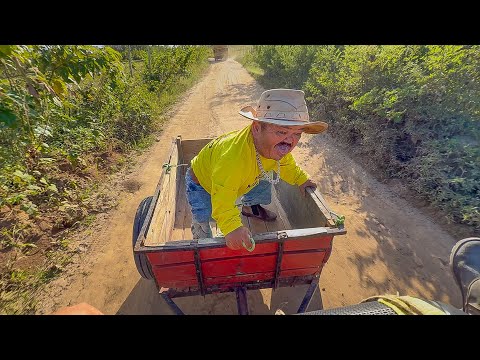 PILILIU ALMOST CAPTURES A CARROCCASION AT HIGH SPEED😱LEÔNCIO'S REVENGE | PILILIU DA RESENHA