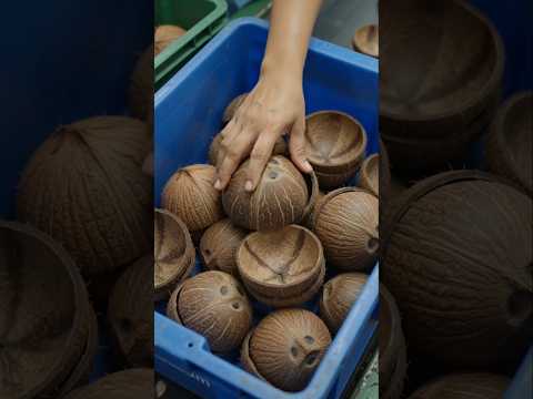 Coconut Shell Waste to Luxury Products | Amazing Coconut Shell Factory Process | Bowls,Cups&Crafts