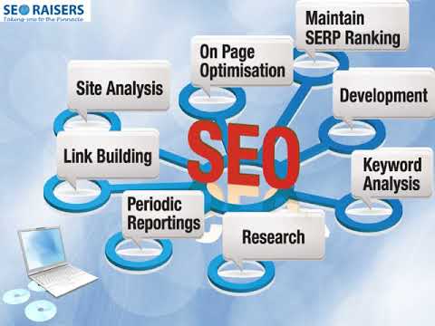 SEORAISERS - World Class SEO Digital Marketing Services Company