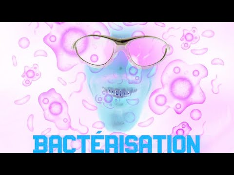 Kb le roi x Lasacem Ladybug (Lyrics Bacterisation)