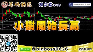 【大戶羅盤籌碼動能】 #謝宗霖0930，小樹開始長高 (圖)