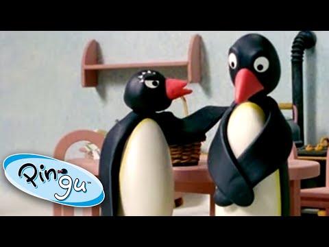 Stop Messing up the House! | Pingu Official | Cartoons for Kids - Kids (0-4), Kingdom Kids Zone - Pingu - Official Channel