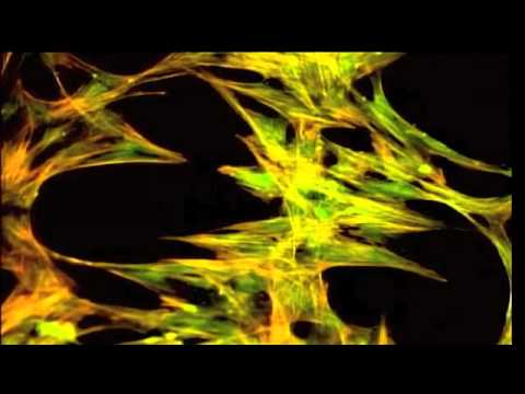 Dr. Greg Gannon on Sport Science