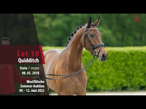 Sommer-Auktion Lot 30 Quidditch Stute v. Quantensprung - Piaster