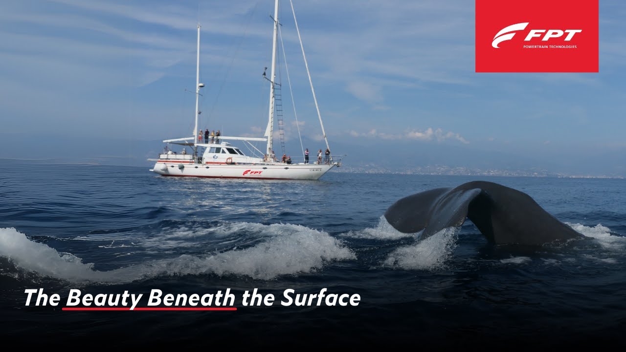 The Beauty Beneath the Surface | FPT Industrial and Tethys for Biodiversity Protection