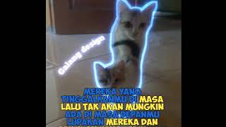 Download lagu Story wa kucing mp3
