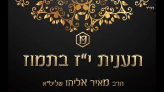 הרב מאיר אליהו l תענית י״ז בתמוז
