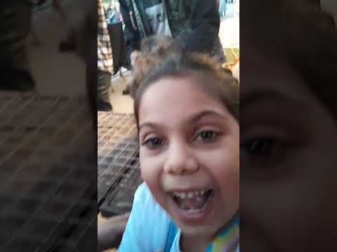 Cat ne pehnli red frok 🥰🤣