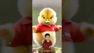 Download lagu Bebek Joget Lucu #60fps#bebeklucu #bebek #animals#goyang #viral #fypyoutube#fyptiktok #fypviral mp3
