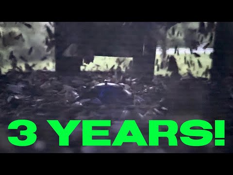 The Most Effective Bug Trap I've Tested Yet: DynaTrap DT1775