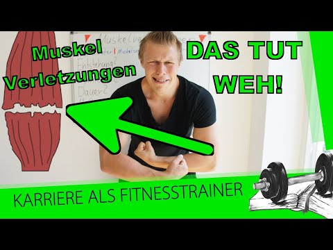 Dysplasie bei Katzen Tiere für Gelenke