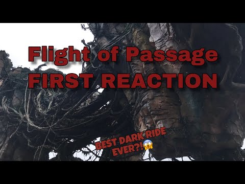 FIRST TIME Riding Flight of Passage (BETTER THAN 95% OF COASTERS)