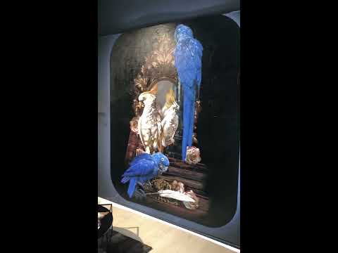 Benvenuti nel nostro negozio!