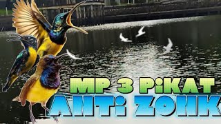 Download lagu MP3 pikat sogon paling ampuh durasi panjang jernih #suarapikatburungkecilribut mp3