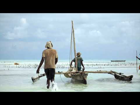 Seba Campos - Pescador (Official Music Video)