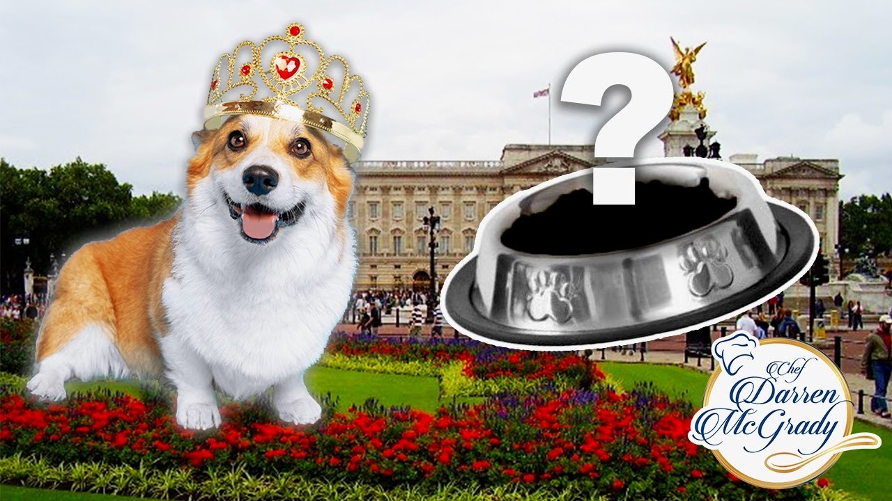 You won't believe what I cooked for the Royal Corgis! - YouTube