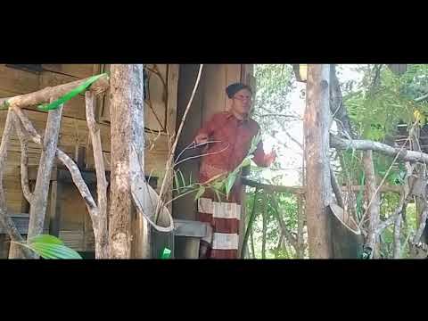 teteko-juga-bisa-romantis