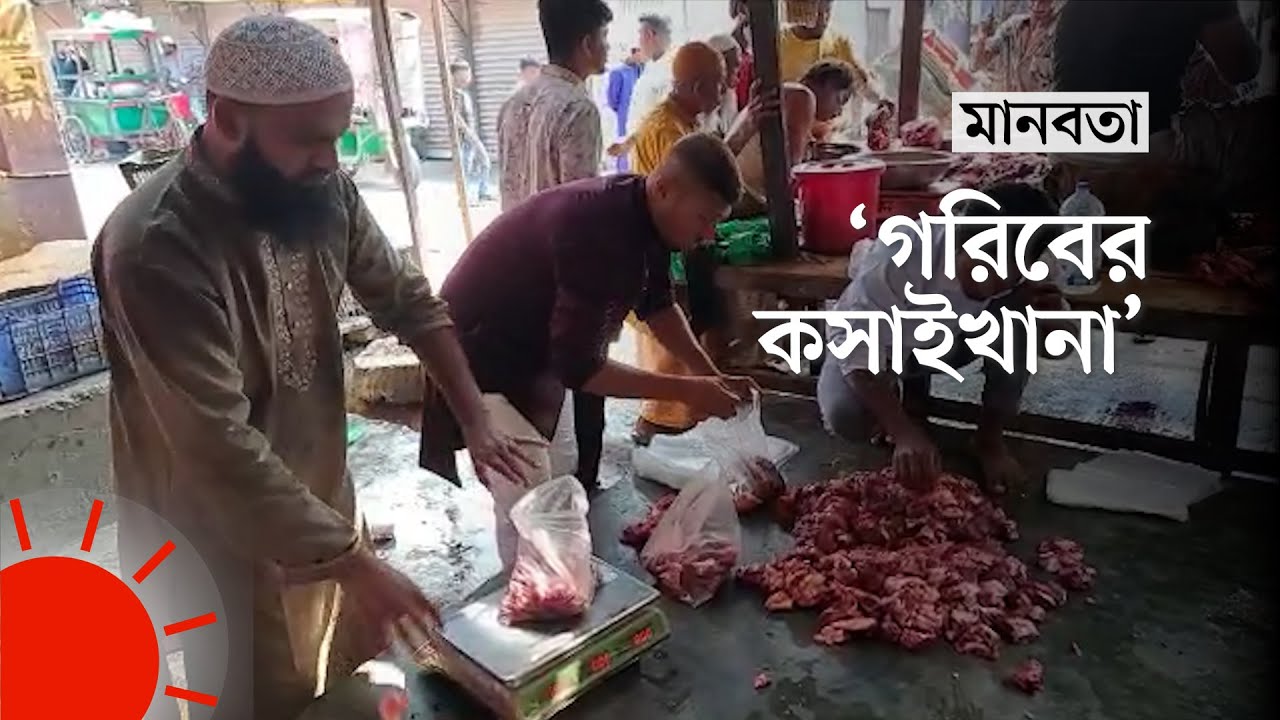 ভিডিও ১