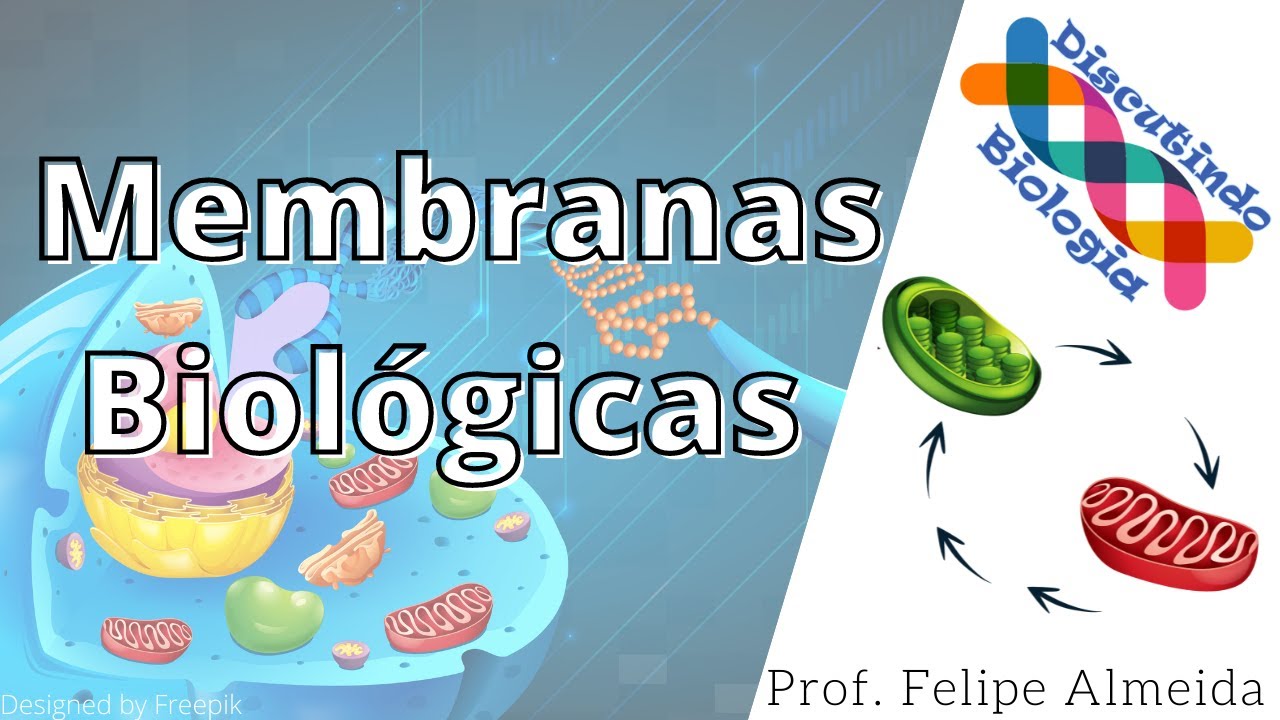 Aula de Estrutura das Membranas Biológicas - Prof. Felipe Almeida