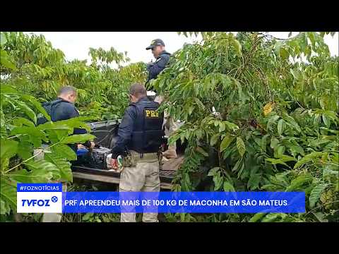 PRF apreendeu mais de 100 kg de maconha em São Mateus