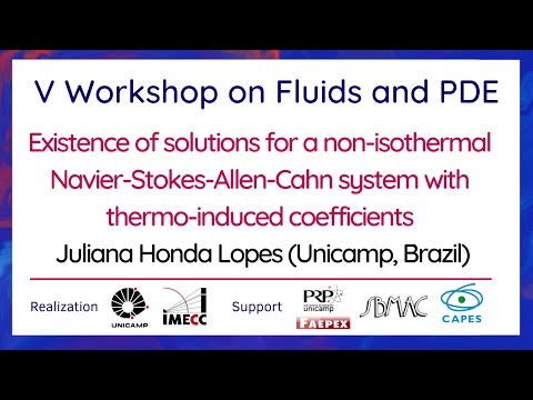 V Workshop on Fluids and PDE - September 23th, 2021 - Juliana Honda Lopes