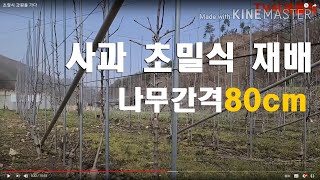 M9초밀식 과수원.이건 또 무슨일인가 ?