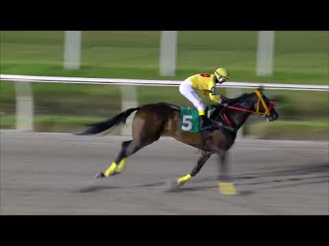 230205 c13 SI SI PARTNER