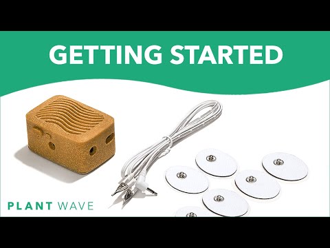 PlantWave Bio-Sonification Plant Music Device image 3