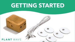 Video thumbnail for Getting Started with PlantWave by PlantWave
