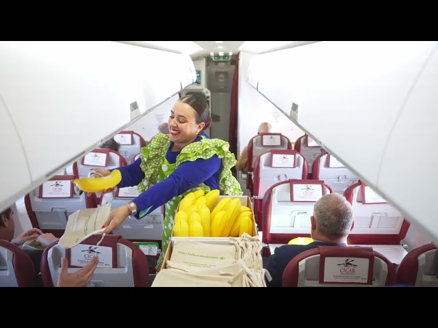 Binter inaugura sus vuelos a Sevilla y la conexión directa de Badajoz con Tenerife