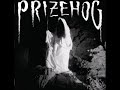 PrizeHog Thought Nest Psychedelic Doom Sludge 2011
