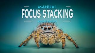 What’s the Easiest Way to Focus Stack Manually?