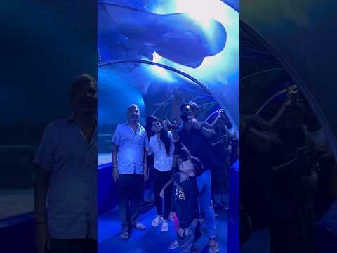 அந்த பயம் இருக்கட்டும்😜🤣 #shorts #funny #comedy #fun