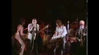 IF IT AIN'T STIFF IT AIN'T WORTH A F**K! (1977) ELVIS COSTELLO