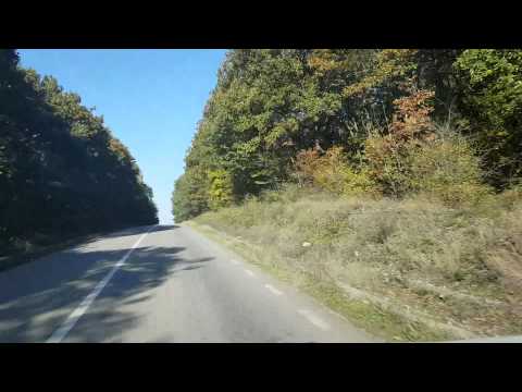 Prin padurea Calinesti -TELEORMAN cu Geo -octombrie 2015