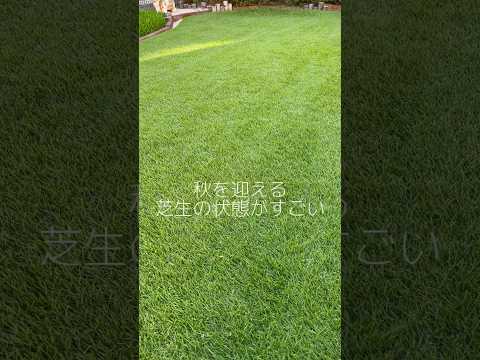 2022年秋の芝生の傷害