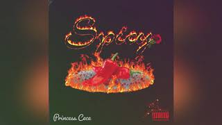 Princess Cece x Notice