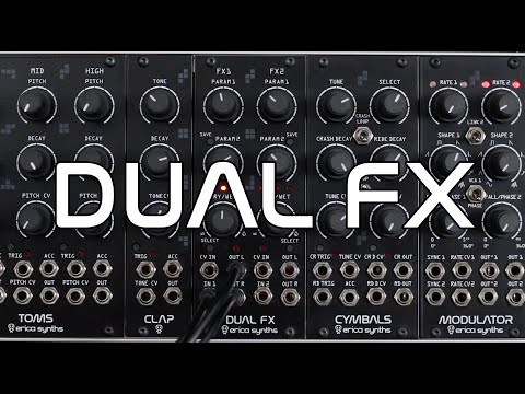 Erica Synths DUAL FX image 2