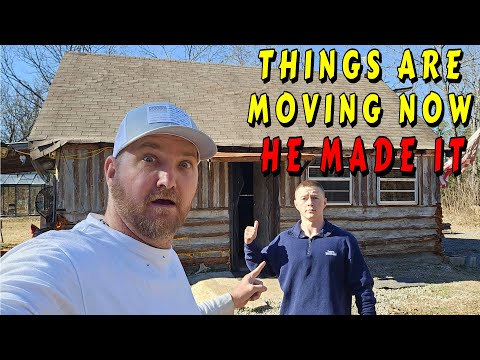 LEVI MADE IT TO THE MOUNTAIN WHAT'S NEXT |tiny house, homesteading, off-grid cabin build DIY HOW TO