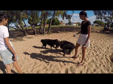 Travels with Neesha Vlog 2.1 | Cleveland Beach | GoPro